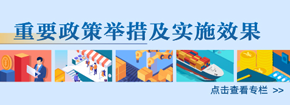 重要政策舉措及實施效果